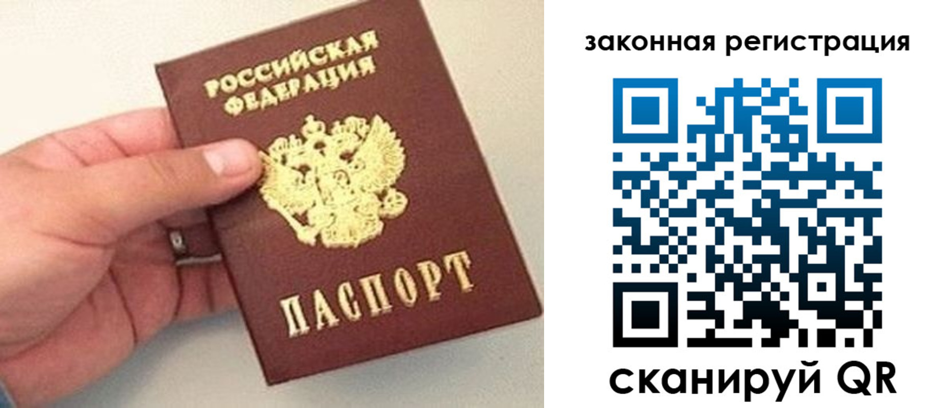 прописка для школы в Домодедово